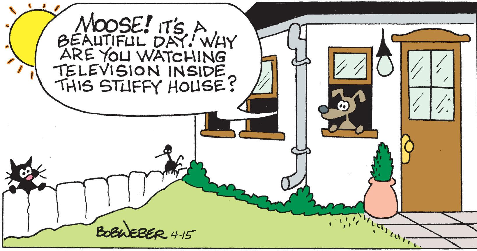 Houseplant OCR: MOOSE! ITSA BEAUTIFUL DAY! WHY ARE YOU WATCHING TELEVISION INSIDE THIS STUFFY HOUSE? BobWEBER 4-15 MOOSE! ITSA BEAUTIFUL DAY! WHY ARE YOU WATCHING TELEVISION INSIDE THIS STUFFY HOUSE? BobWEBER 4-15