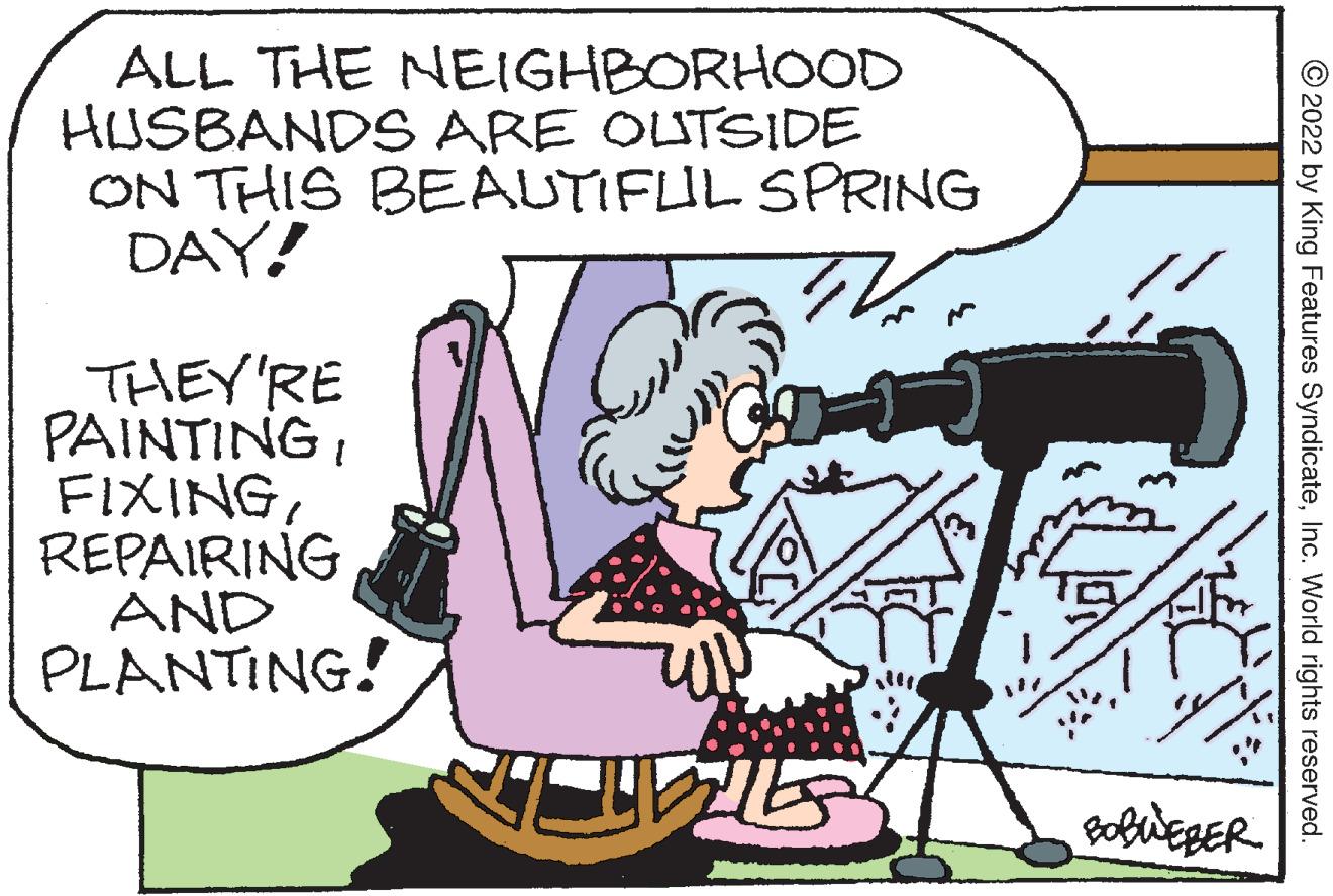 Design OCR: ALL THE NEIGHBORHOOD HUSBANDS ARE OUTSIDE ON THIS BEAUTIFUL SPRING DAY! THEY'RE PAINTINGREPAIRING AND PLANTING! © 2022 by King Features SyndicateInc. World rights reserved. ALL THE NEIGHBORHOOD HUSBANDS ARE OUTSIDE ON THIS BEAUTIFUL SPRING DAY! THEY'RE PAINTINGREPAIRING AND PLANTING! © 2022 by King Features SyndicateInc. World rights reserved.