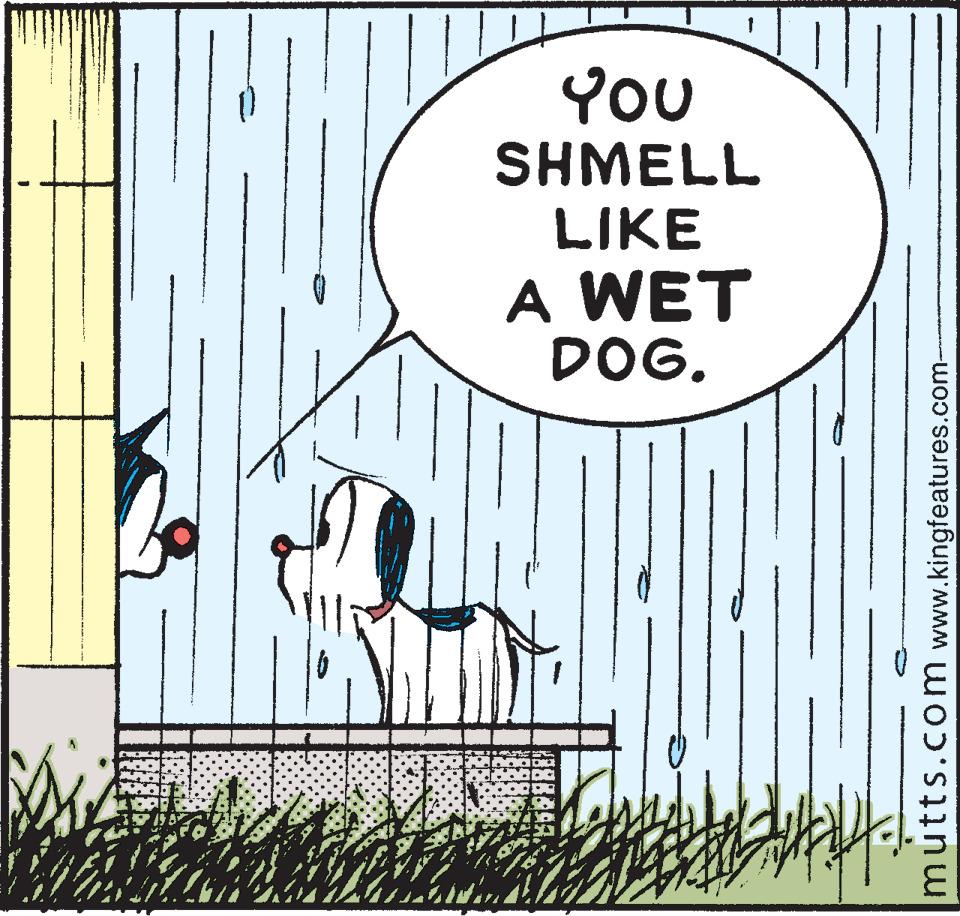 Pattern OCR: YOU SHMELL LIKE A WET DOG. mutts.com www.kingfeatures.com- YOU SHMELL LIKE A WET DOG. mutts.com www.kingfeatures.com-