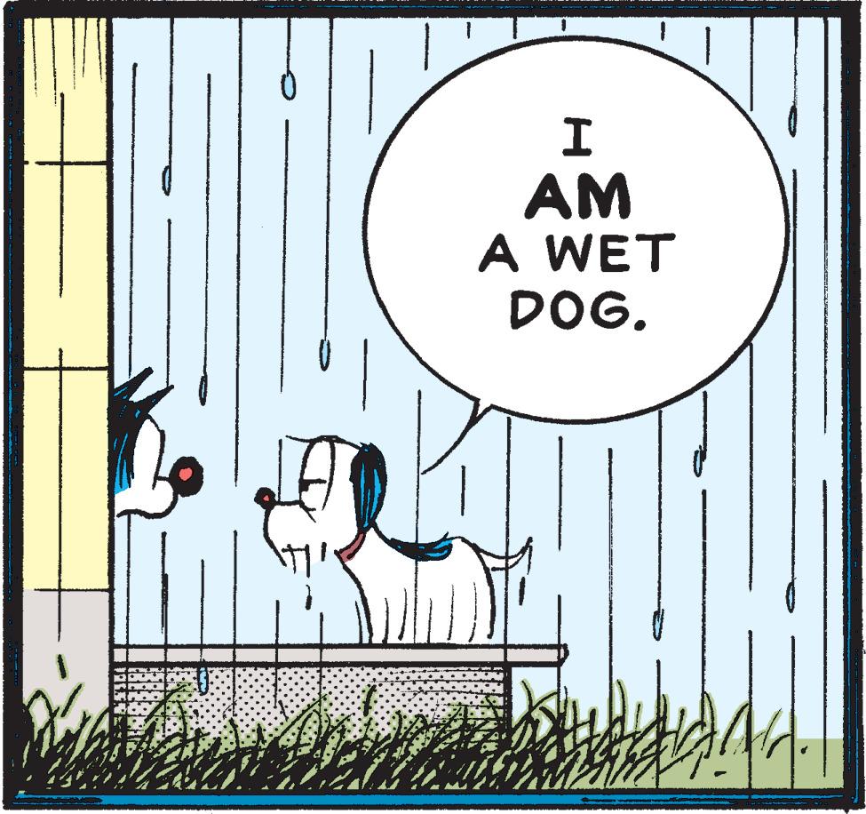 Circle OCR: AM A WET DOG. AM A WET DOG.