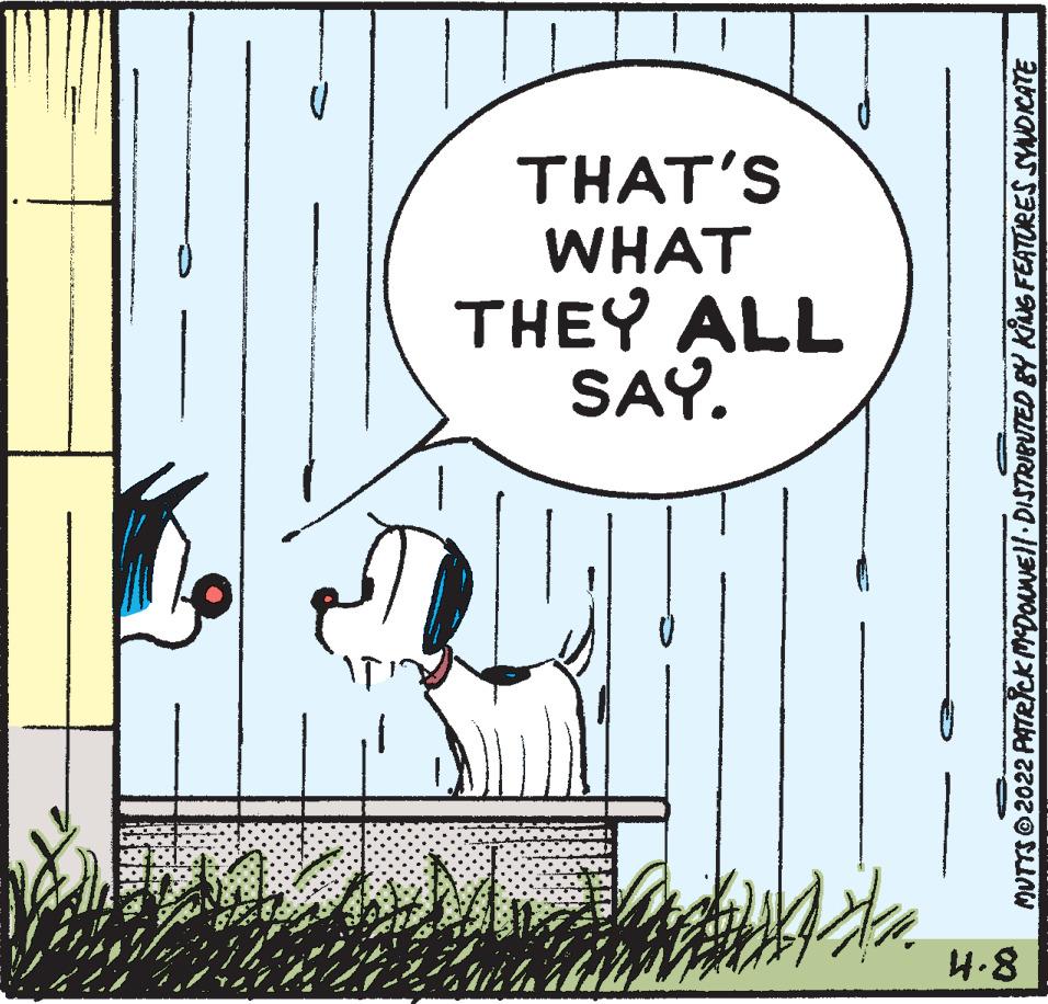 Drawing OCR: THAT'S WHAT THEY ALL SAY. 4.8 MUTTS 2022 PATRICK MDONNEll DISTRIBUTED BY KUG FEATURES SYADICATE THAT'S WHAT THEY ALL SAY. 4.8 MUTTS 2022 PATRICK MDONNEll DISTRIBUTED BY KUG FEATURES SYADICATE