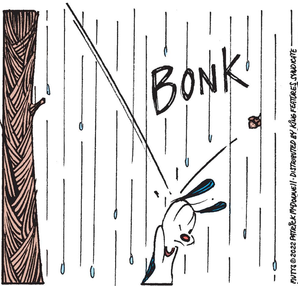 Illustration OCR: BONK MUTTS © 2022 PATRICK MDOaNEll·DISTRIBUTED BY KNG FEATURES SYNDKATE BONK MUTTS © 2022 PATRICK MDOaNEll·DISTRIBUTED BY KNG FEATURES SYNDKATE