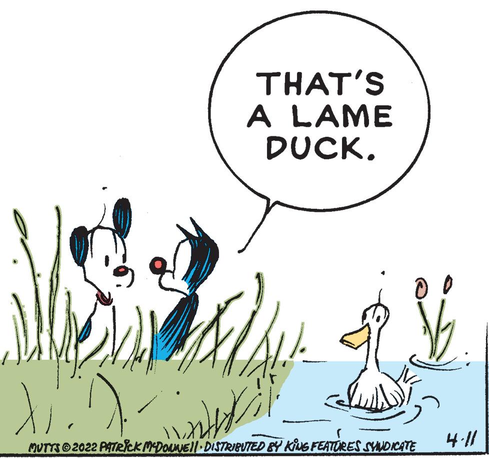 Sharing OCR: THAT'S A LAME DUCK4-11 MUTTS 2022 PATRCK MDOuNEll DISTRIBUTED BY KING FEATURES SYNDICATE THAT'S A LAME DUCK4-11 MUTTS 2022 PATRCK MDOuNEll DISTRIBUTED BY KING FEATURES SYNDICATE