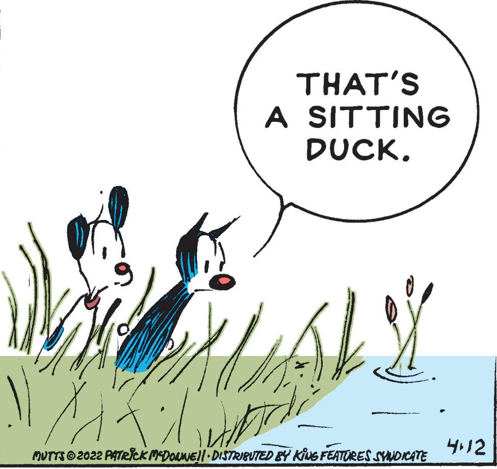 Font OCR: THAT'S A SITTING DUCK. 4112 MUTTS © 2022 AATeck MDOANE| DISTRIBUTED BY KING FEATORES SYNDICATE THAT'S A SITTING DUCK. 4112 MUTTS © 2022 AATeck MDOANE| DISTRIBUTED BY KING FEATORES SYNDICATE