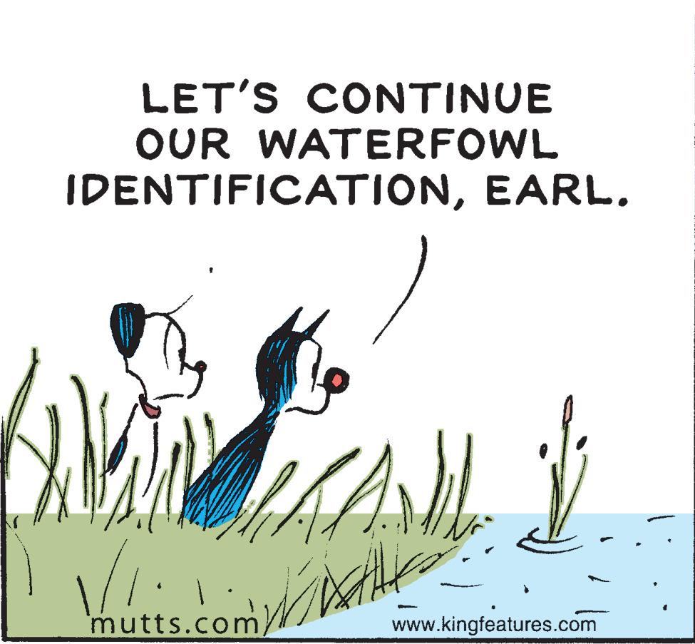Art OCR: mutts.com) LET'S CONTINUE OUR WATERFOWL IDENTIFICATIONEARL. www.kingfeatures.com mutts.com) LET'S CONTINUE OUR WATERFOWL IDENTIFICATIONEARL. www.kingfeatures.com