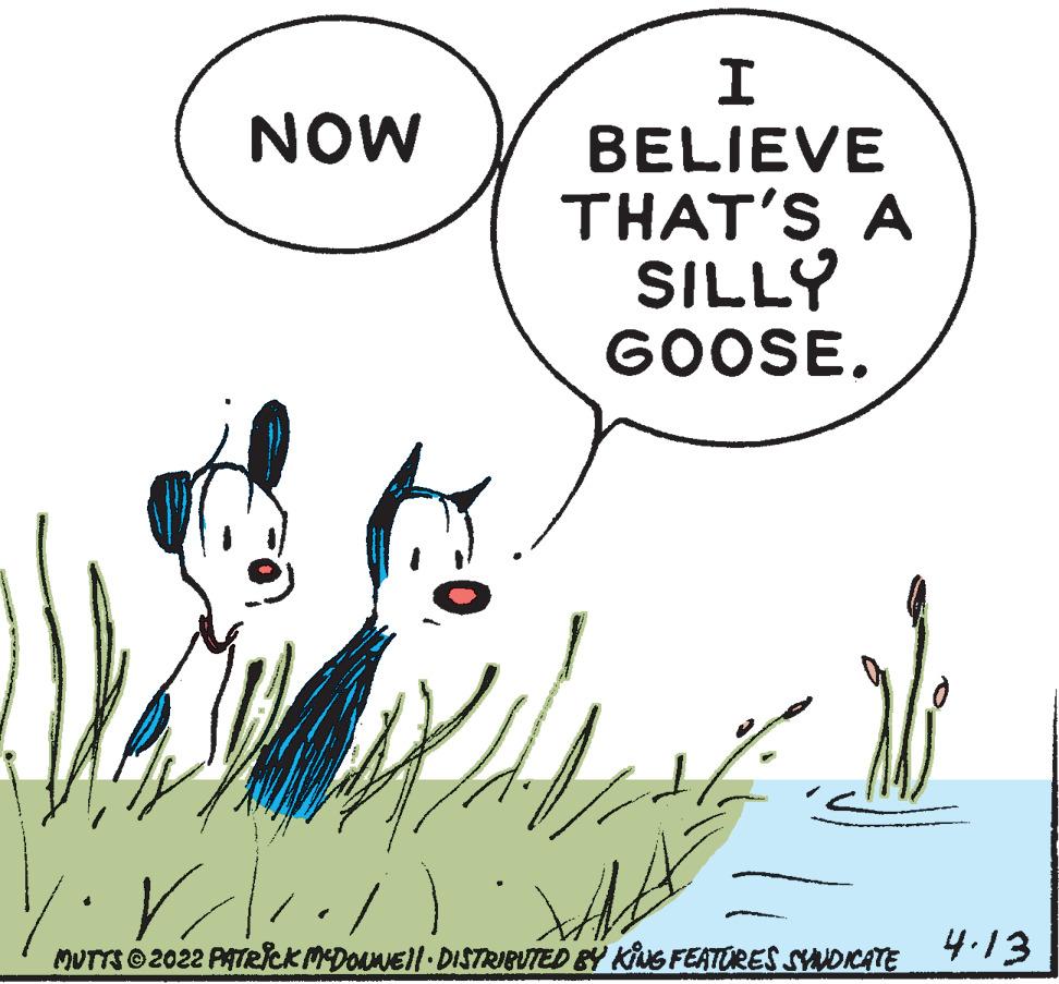 Line OCR: NOW BELIEVE THAT'S A SILLY GOOSE. MUTTS©2022 PAIRiCKMDOuNEll DISTRIBUTED BY KUG FEATORES SYNDCATE 4.13 NOW BELIEVE THAT'S A SILLY GOOSE. MUTTS©2022 PAIRiCKMDOuNEll DISTRIBUTED BY KUG FEATORES SYNDCATE 4.13