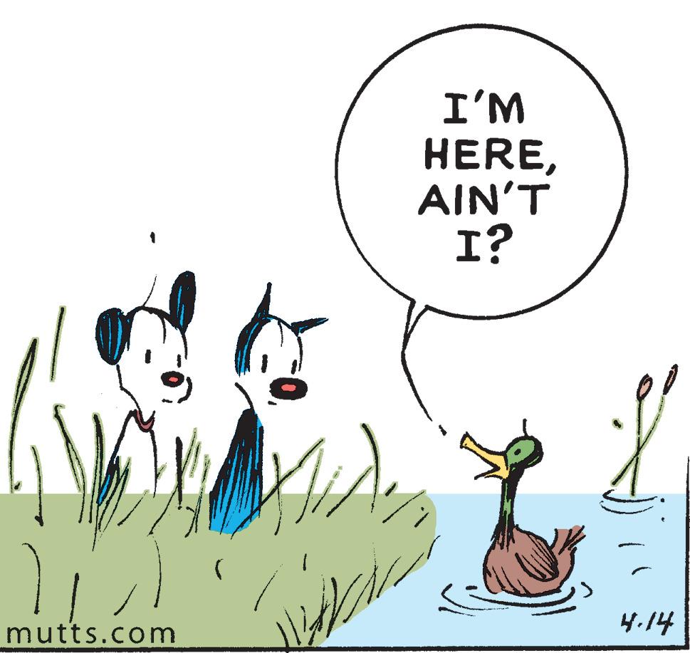 Art OCR: I'M HEREAIN'T I? mutts.com 4.14 I'M HEREAIN'T I? mutts.com 4.14