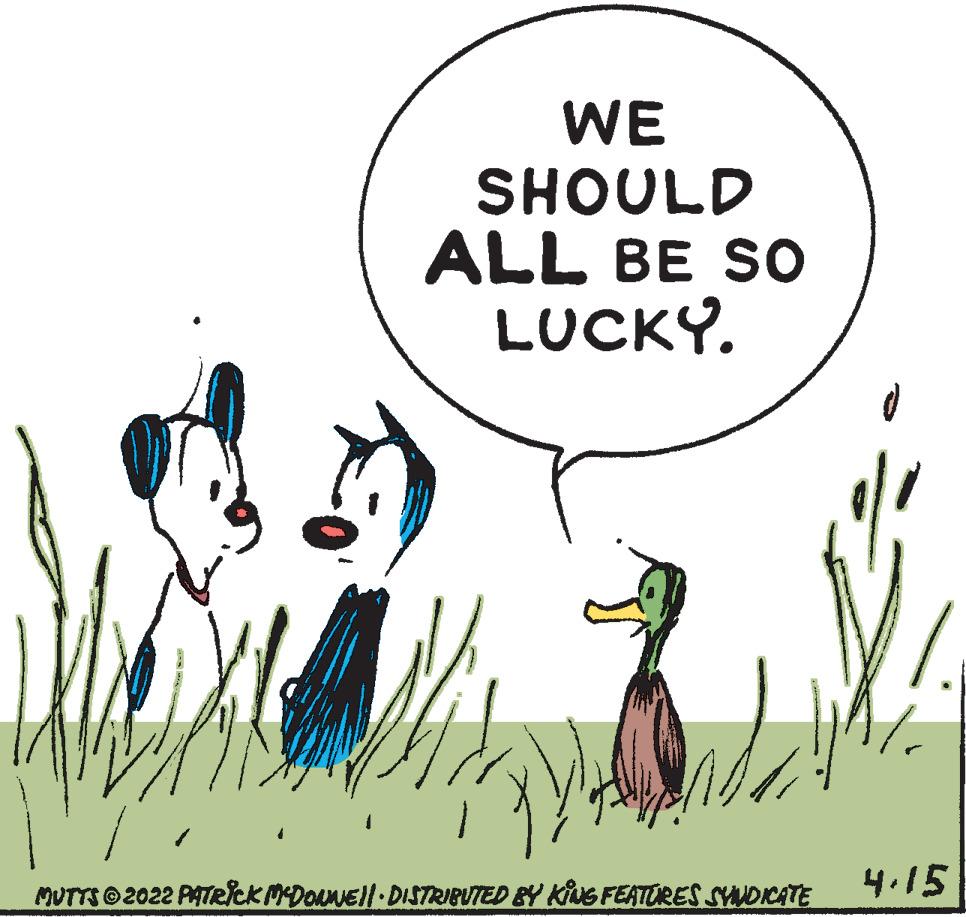 Sharing OCR: WE SHOULD ALL BE SO LUCKY. 4.15 MUTTS 2022 PATRICK MDONEl DISTRIBUTED BY KS FEATURES SNDCATE WE SHOULD ALL BE SO LUCKY. 4.15 MUTTS 2022 PATRICK MDONEl DISTRIBUTED BY KS FEATURES SNDCATE