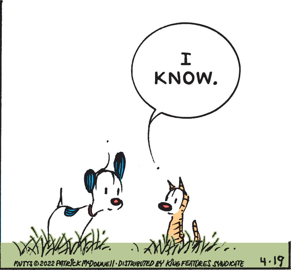 Drawing OCR: KNOW. MUTTS 2022 PATRICK MDOnNEll DISTRIBUTED BY KiNG FEATURES SYNDICATE 4.19 KNOW. MUTTS 2022 PATRICK MDOnNEll DISTRIBUTED BY KiNG FEATURES SYNDICATE 4.19