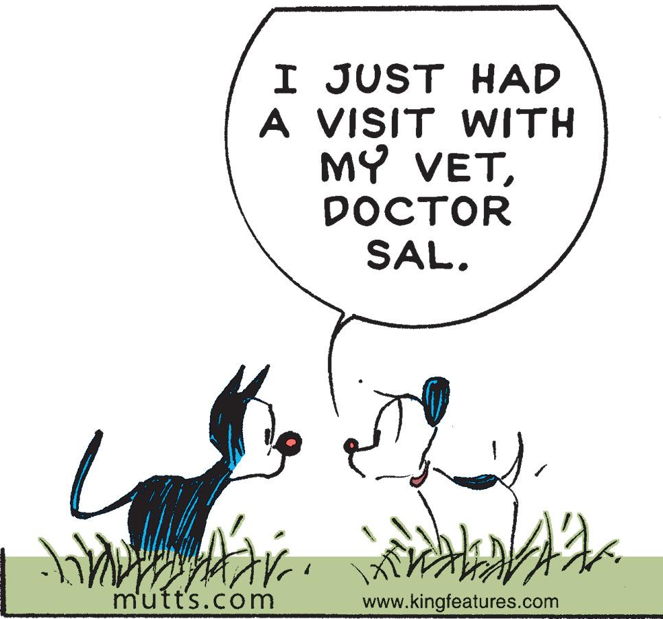 Illustration OCR: I JUST HAD A VISIT WITH MY VET????OR SAL. m'utt's.com www.kingfeatures.com I JUST HAD A VISIT WITH MY VET????OR SAL. m'utt's.com www.kingfeatures.com