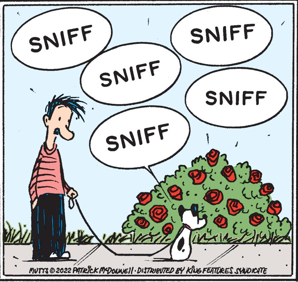 Natural foods OCR: SNIFF SNIFF SNIFF SNIFF SNIFF MUTTSO 2022 PATRsckMEDONNEll DISTRIBUTED BY KNG FEATURES SYNDICATE SNIFF SNIFF SNIFF SNIFF SNIFF MUTTSO 2022 PATRsckMEDONNEll DISTRIBUTED BY KNG FEATURES SYNDICATE