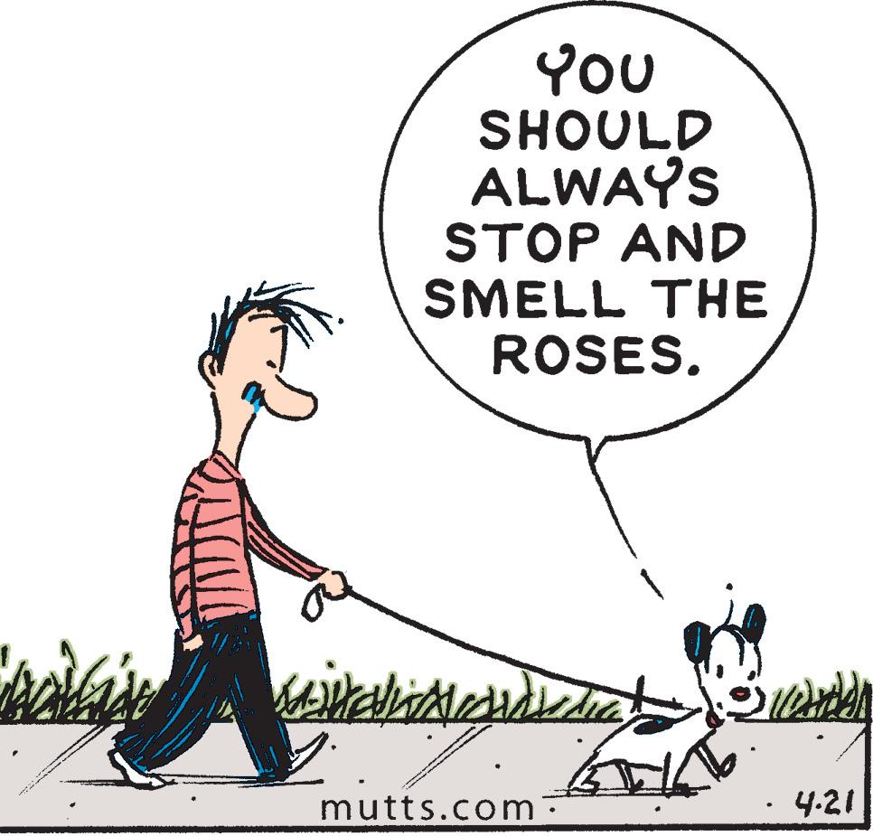Organism OCR: YoU SHOULD ALWAYS STOP AND SMELL THE ROSES. mutts.com- 4.21 YoU SHOULD ALWAYS STOP AND SMELL THE ROSES. mutts.com- 4.21