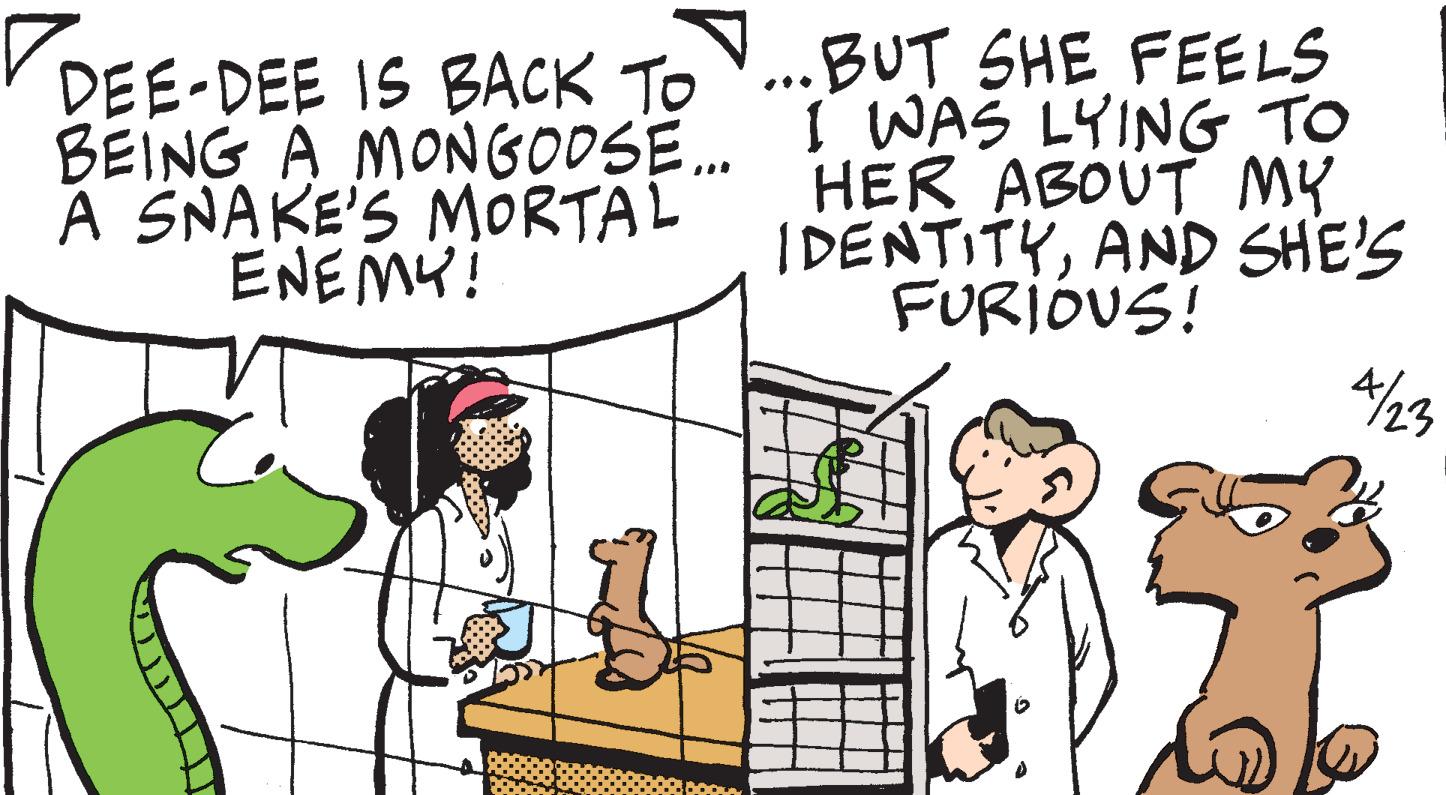Font OCR: DEE-DEE IS BACK TO V..BUT SHE FEELS BEING A MONGODS. ! WAS LYING TO A SNAKE'S MORTAL ENEMY! HER ABOUT MY IDENTITYAND SHE'S FURIÓUS! DEE-DEE IS BACK TO V..BUT SHE FEELS BEING A MONGODS. ! WAS LYING TO A SNAKE'S MORTAL ENEMY! HER ABOUT MY IDENTITYAND SHE'S FURIÓUS!