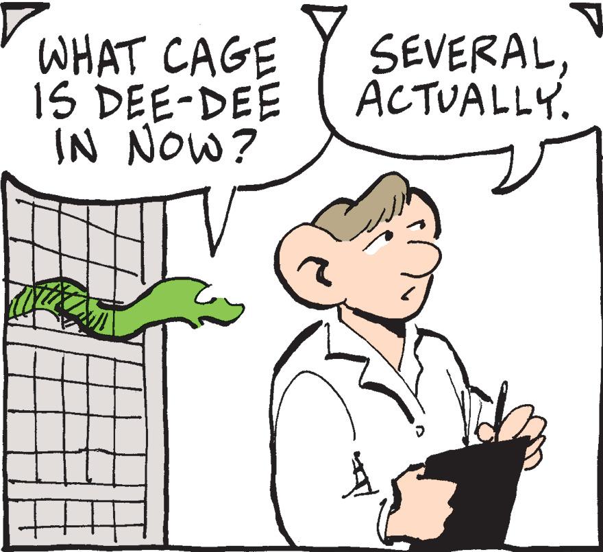 Handwriting OCR: WHAT CAGE IS DEE-DEE IN NOW? SEVERALACTUALLY. WHAT CAGE IS DEE-DEE IN NOW? SEVERAL