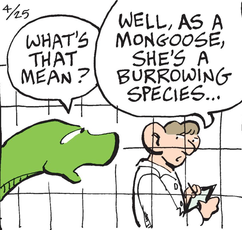 Rectangle OCR: 4/25 WHAT'S THAT MEAN ? WELLAS A MONGOOSESHE'S A BURROWING SPECIES.. 4/25 WHAT'S THAT MEAN ? WELLAS A MONGOOSESHE'S A BURROWING SPECIES..