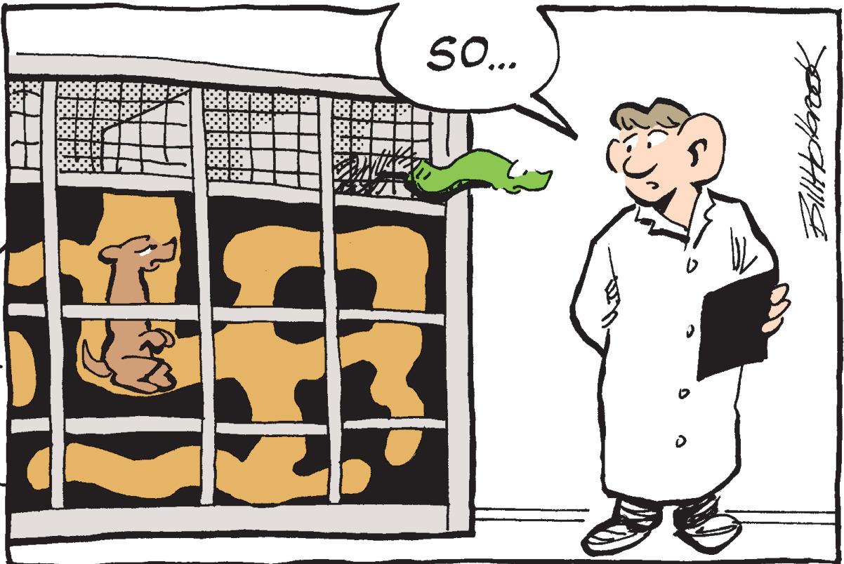 Rectangle OCR: So.. 8? S So.. 8 ? S