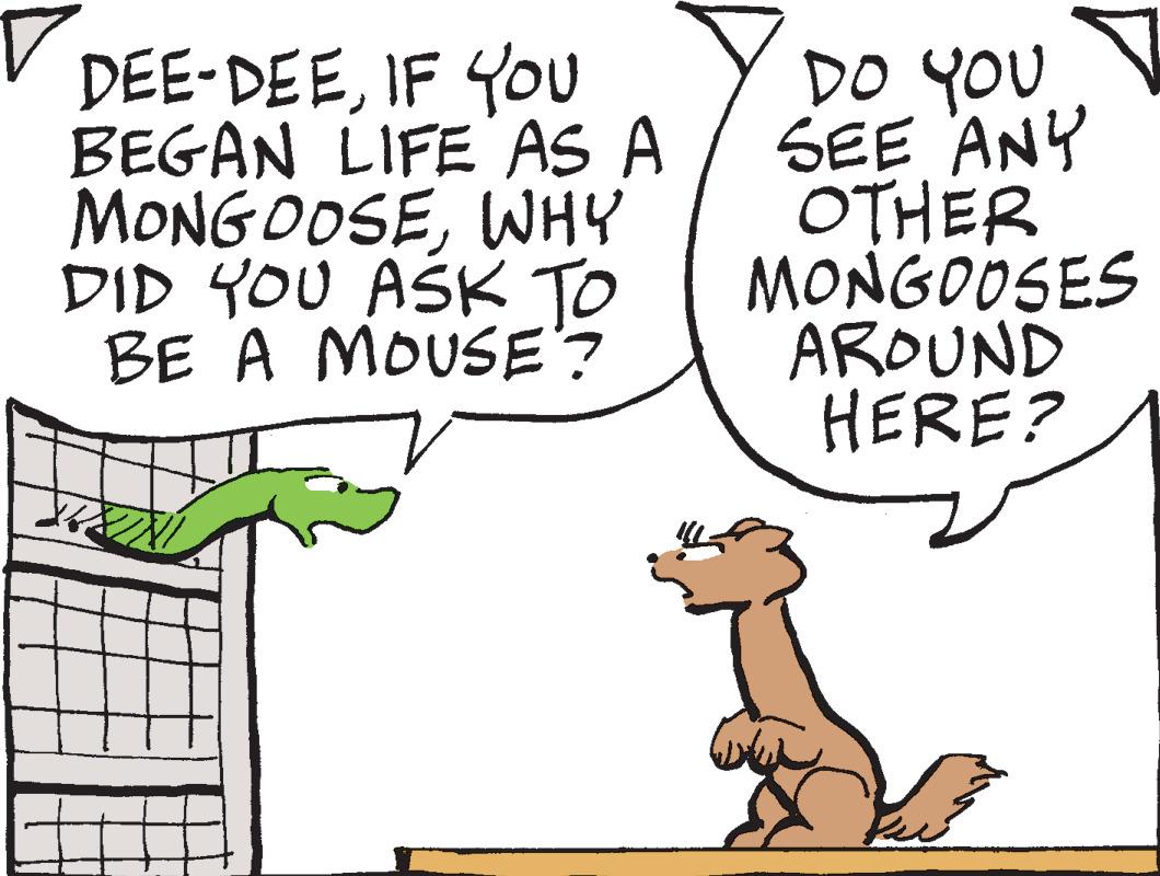 Mammal OCR: DEE-DEEIF YOU BEGAN LIFE AS A MONG DOSEWHY DID YOU ASK TO BE A MOUSE? ?? ?? SEE ANY OTHER MONGOOSES AROUND HERE? DEE-DEEIF YOU BEGAN LIFE AS A MONG DOSEWHY DID YOU ASK TO BE A MOUSE? ?? ?? SEE ANY OTHER MONGOOSES AROUND HERE?