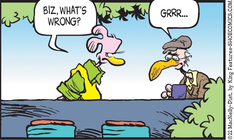 Line OCR: BIZWHAT'S WRONG? GRR... © 22 MacNelly-Dist. by King Features-SHOECOMICS.COM BIZWHAT'S WRONG? GRR... © 22 MacNelly-Dist. by King Features-SHOECOMICS.COM