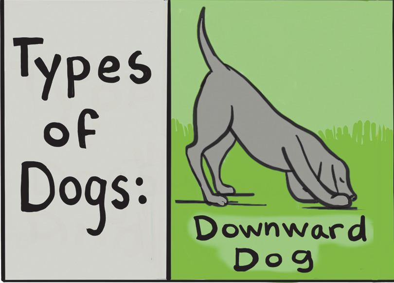 Poster OCR: ???es of Dogs: Downward Dog ???es of Dogs: Downward Dog