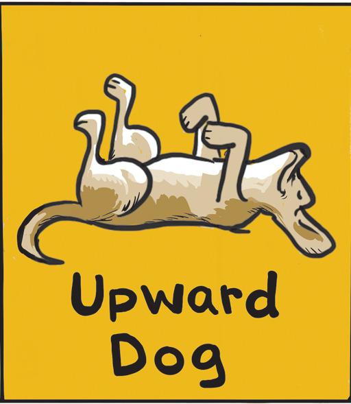 Graphics OCR: Upward Dog Upward Dog