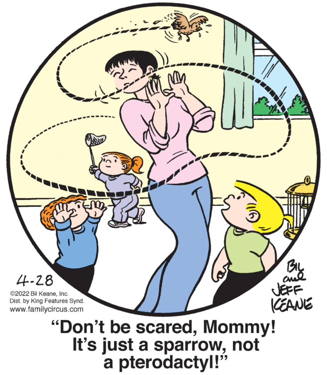 Drawing OCR: BIL cud JEFF CEANE 4.28 ©2022 Bil KeaneInc. Dist. by King Features Synd. www.familycircus.com "Don't be scaredMommy! It's just a sparrownot a pterodactyl!" BIL cud JEFF CEANE 4.28 ©2022 Bil KeaneInc. Dist. by King Features Synd. www.familycircus.com "Don't be scaredMommy! It's just a sparrownot a pterodactyl!"