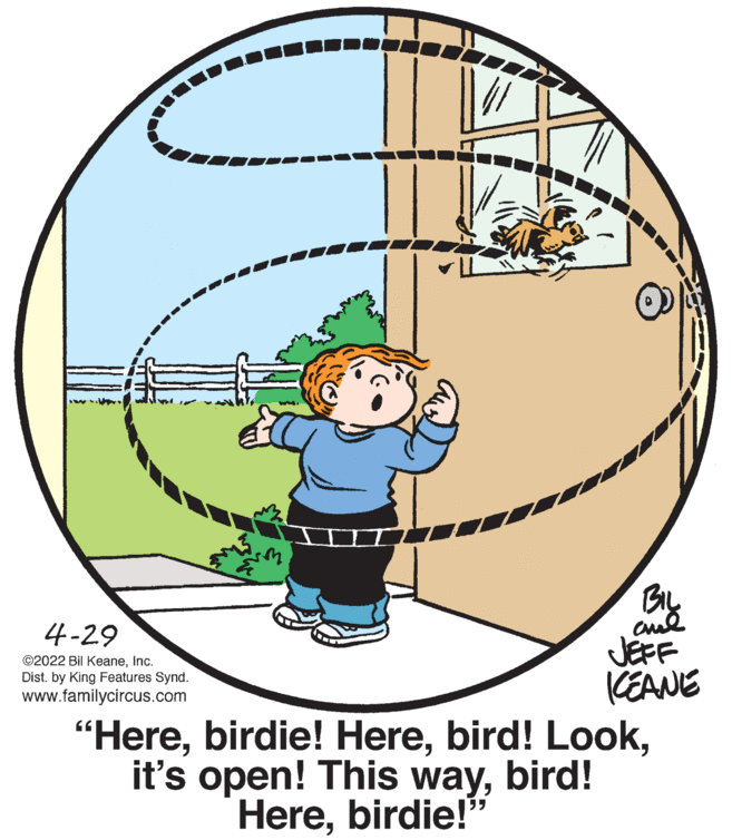 Circle OCR: By 4-29 ©2022 Bil KeaneInc. Dist. by King Features Synd. www.familycircus.com JEFF KEANE "Herebird! Herebirdie!" By 4-29 ©2022 Bil KeaneInc. Dist. by King Features Synd. www.familycircus.com JEFF KEANE "Herebirdie! Herebird! Lookit's open! This waybird! Here