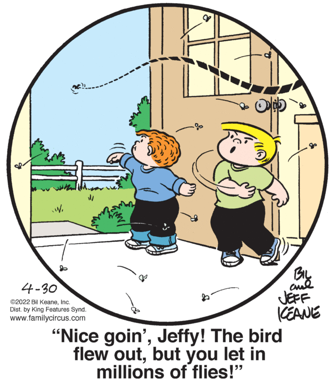 Pleased OCR: By JEFF CEANE "Nice goin'Jeffy! The bird flew outbut you let in 4-30 ©2022 Bil KeaneInc. Dist. by King Features Synd. www.familycircus.com millions of flies!" By JEFF CEANE "Nice goin'Jeffy! The bird flew outbut you let in 4-30 ©2022 Bil KeaneInc. Dist. by King Features Synd. www.familycircus.com millions of flies!"