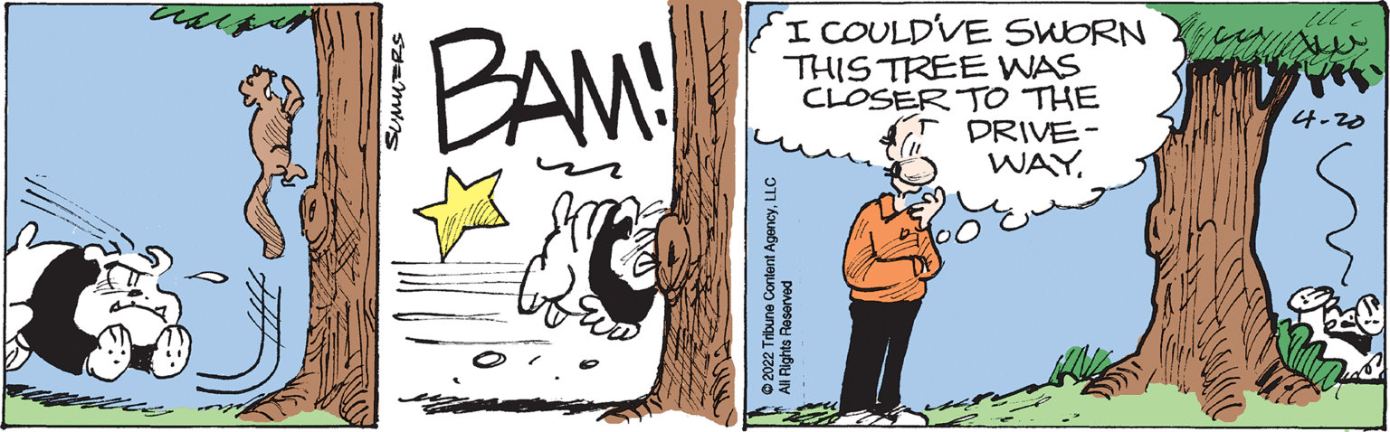 Rectangle OCR: BAM! I COULDVE SWORN THIS TREE WAS CLOSER TO THE DRIVE- WAY4-20 SUMUERS © 2022 Tribune Content AgencyLLC All Hights Reserved BAM! I COULDVE SWORN THIS TREE WAS CLOSER TO THE DRIVE- WAY4-20 SUMUERS © 2022 Tribune Content AgencyLLC All Hights Reserved