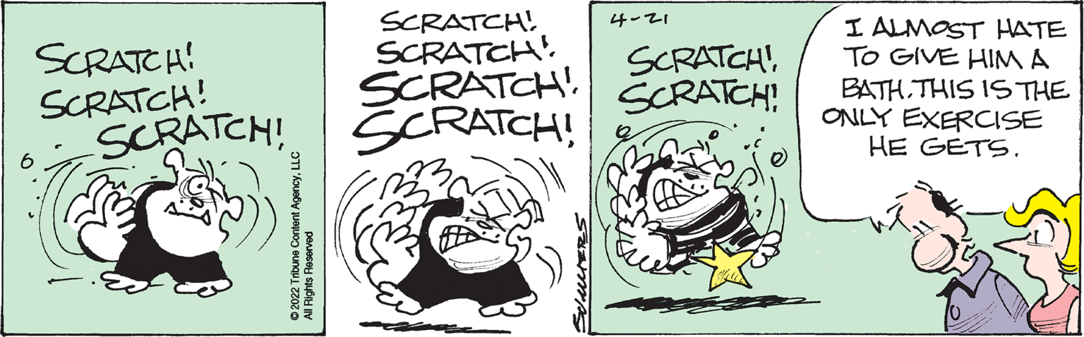 Illustration OCR: SCRATCH' SCRATCH'. SCRATCH'. 4-21 SCRATCH! SCRATCH! SCRATCH! I ALMOST HATE TO GIVE HIM A BATH THIS 1S THE ONLY EXERCISE HE GETS. SCRATCH'SCRATCH! SCRATCH! © 2022 Tribune Content AgencyLLC All Rights Reserved SCRATCH' SCRATCH'. SCRATCH'. 4-21 SCRATCH! SCRATCH! SCRATCH! I ALMOST HATE TO GIVE HIM A BATH THIS 1S THE ONLY EXERCISE HE GETS. SCRATCH'SCRATCH! SCRATCH! © 2022 Tribune Content AgencyLLC All Rights Reserved