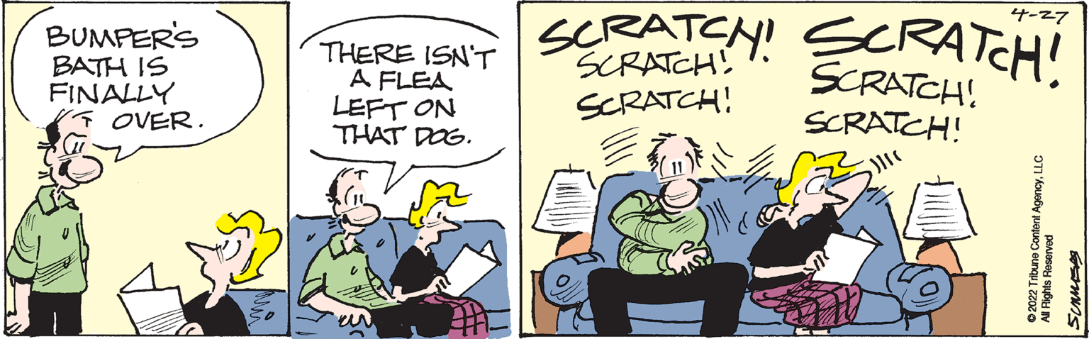 Illustration OCR: 4-27 BUMPER'S BATH IS FINALLY OVER. THERE ISN'T A FLEA LEFT ON THAT DOG. SCRATEN! SRATCHI SCRATCH! SCRATCH! SCRATCH SCRATCH! 4-27 BUMPER'S BATH IS FINALLY OVER. THERE ISN'T A FLEA LEFT ON THAT DOG. SCRATEN! SRATCHI SCRATCH! SCRATCH! SCRATCH SCRATCH!