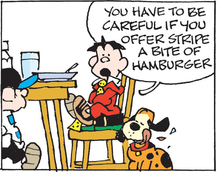 Font OCR: You HAVE TO BE CAREFUL IFYOU OFFER STRIPE A BITE OF HAMBURGER You HAVE TO BE CAREFUL IFYOU OFFER STRIPE A BITE OF HAMBURGER