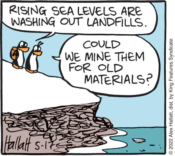 Illustration OCR: RISING SEA LEVELS ARE WASHING OUT LANDFILLS. COULD WE MINE THEM FOR OLD MATERIALS? Hallatt s-it © 2022 Alex Hallattdist. by King Features Syndicate RISING SEA LEVELS ARE WASHING OUT LANDFILLS. COULD WE MINE THEM FOR OLD MATERIALS? Hallatt s-it © 2022 Alex Hallattdist. by King Features Syndicate