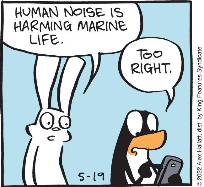 Mammal OCR: HUMAN NOISE IS HARMING MARINE LIFE. Too RIGHT. 5-19 O 2022 Alex Hallattdist. by King Features Syndicate HUMAN NOISE IS HARMING MARINE LIFE. Too RIGHT. 5-19 O 2022 Alex Hallattdist. by King Features Syndicate