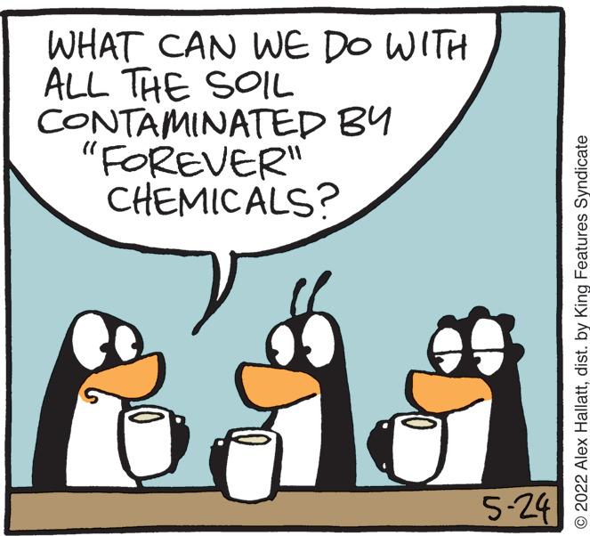 Font OCR: WHAT CAN WE DO WITH ALL THE SOIL CONTAMINATED BY "FOREVER" CHEMICALS? 5-24 © 2022 Alex Hallattdist. by King Features Syndicate WHAT CAN WE DO WITH ALL THE SOIL CONTAMINATED BY "FOREVER" CHEMICALS? 5-24 © 2022 Alex Hallattdist. by King Features Syndicate