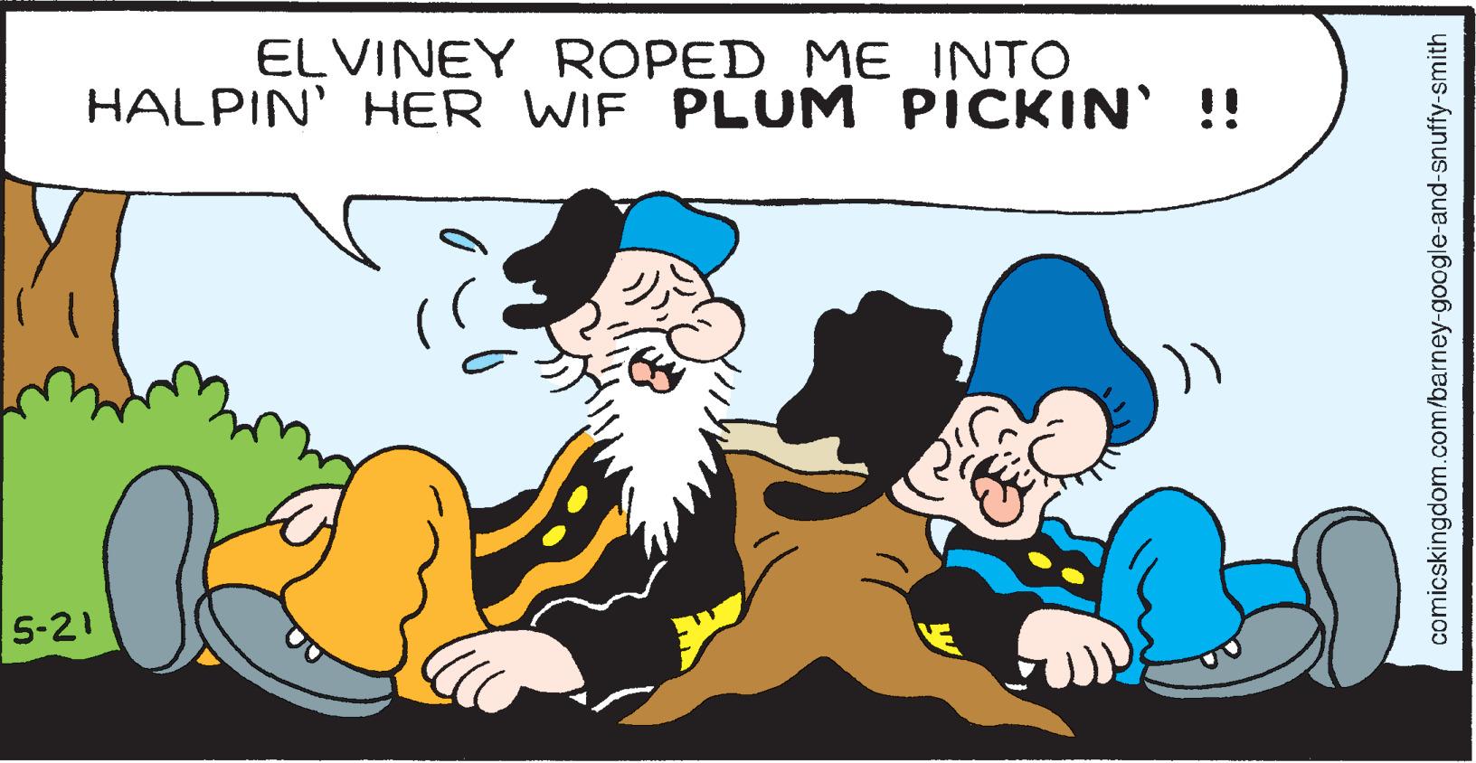 Organism OCR: ELVINEY ROPED ME INTO HALPIN' HER WIF PLUM PICKIN' !! 5-21 comicskingdom.com/barney-google-and-snuffy-smith ELVINEY ROPED ME INTO HALPIN' HER WIF PLUM PICKIN' !! 5-21 comicskingdom.com/barney-google-and-snuffy-smith