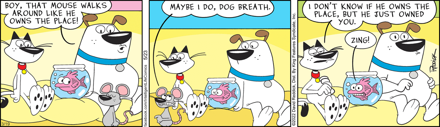 Drawing OCR: BOYTHAT MOUSE WALKS AROUND LIKE HE OWNS THE PLACE! 3/19 MAYBE I DODOG BREATH. %%%% I DON'T KNOW IF HE OWNS THE PLACEBUT HE JUST OWNED YOU. ZING! OO BOYTHAT MOUSE WALKS AROUND LIKE HE OWNS THE PLACE ! 3/19 MAYBE I DODOG BREATH . %%%% I DON'T KNOW IF HE OWNS THE PLACEBUT HE JUST OWNED YOU . ZING ! OO