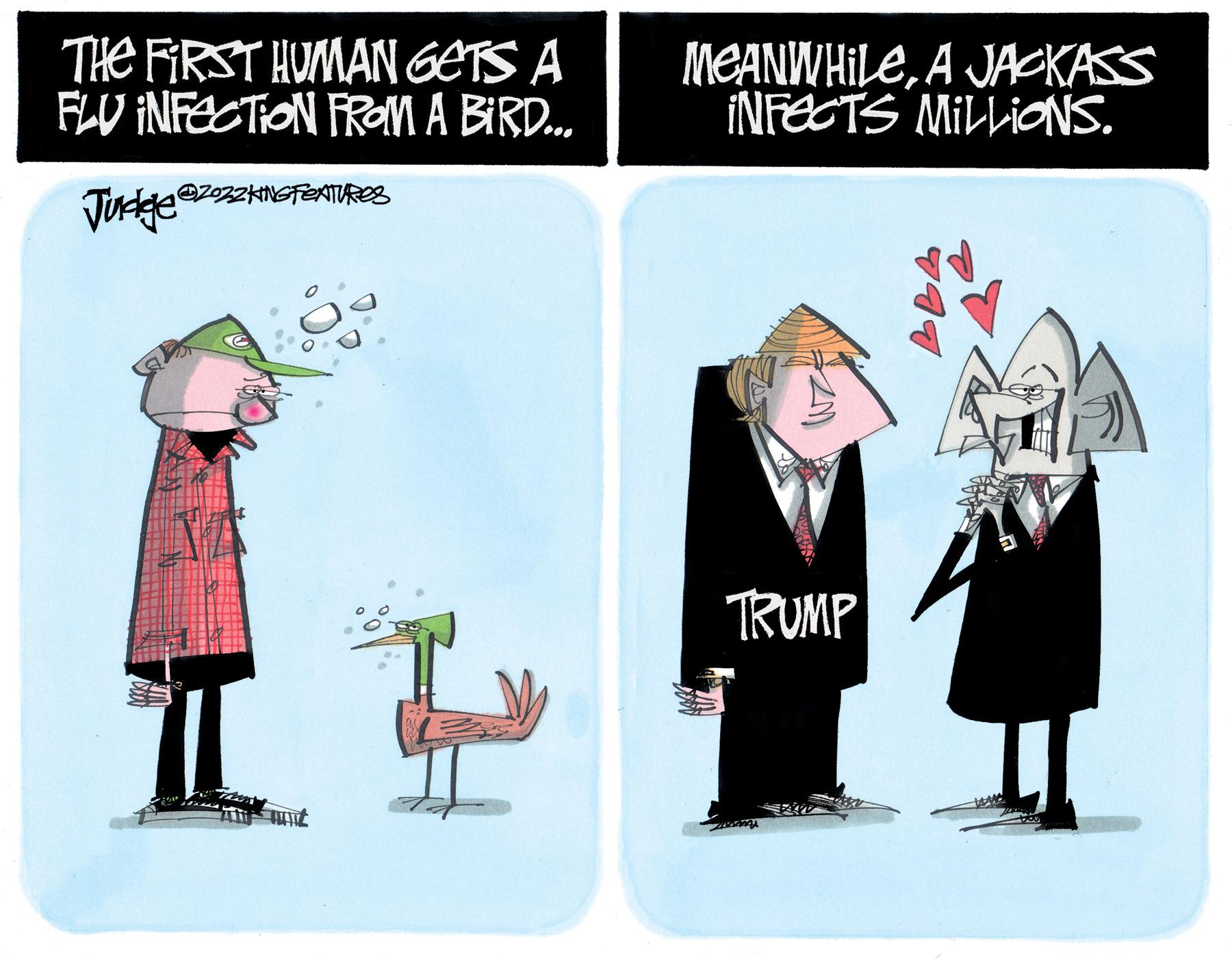 Plant OCR: THE FIRST HUMAN GETS A FLU INFECTION FROM A BIRD.A JACKASS INFECTS MILLIONS. Jurdge TRUMP THE FIRST HUMAN GETS A FLU INFECTION FROM A BIRD.A JACKASS INFECTS MILLIONS. Jurdge TRUMP