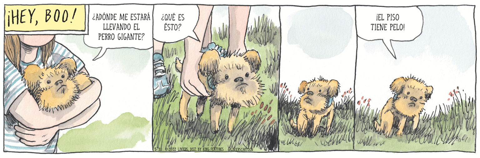 Adaptation OCR: ¿QUÉ ES iHEYBOO! || LADÓNDE ME ESTARA ÉSTO? IEL PISO TIENE PELO! LLEVANDO EL PERRO GIGANTE? 62022 LINIEKSDIST FEATURES NESCARTOO ¿QUÉ ES iHEYBOO! || LADÓNDE ME ESTARA ÉSTO? IEL PISO TIENE PELO! LLEVANDO EL PERRO GIGANTE? 62022 LINIEKSDIST FEATURES NESCARTOO