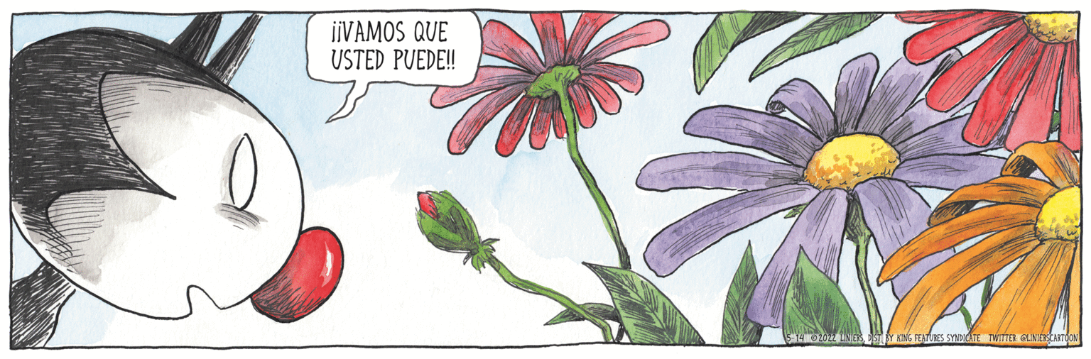 Herbaceous plant OCR: iiVAMOS QUE USTED PUEDE! EATURES SYNDICATE TWITTE ELNIEKCAITOON iiVAMOS QUE USTED PUEDE! EATURES SYNDICATE TWITTE ELNIEKCAITOON