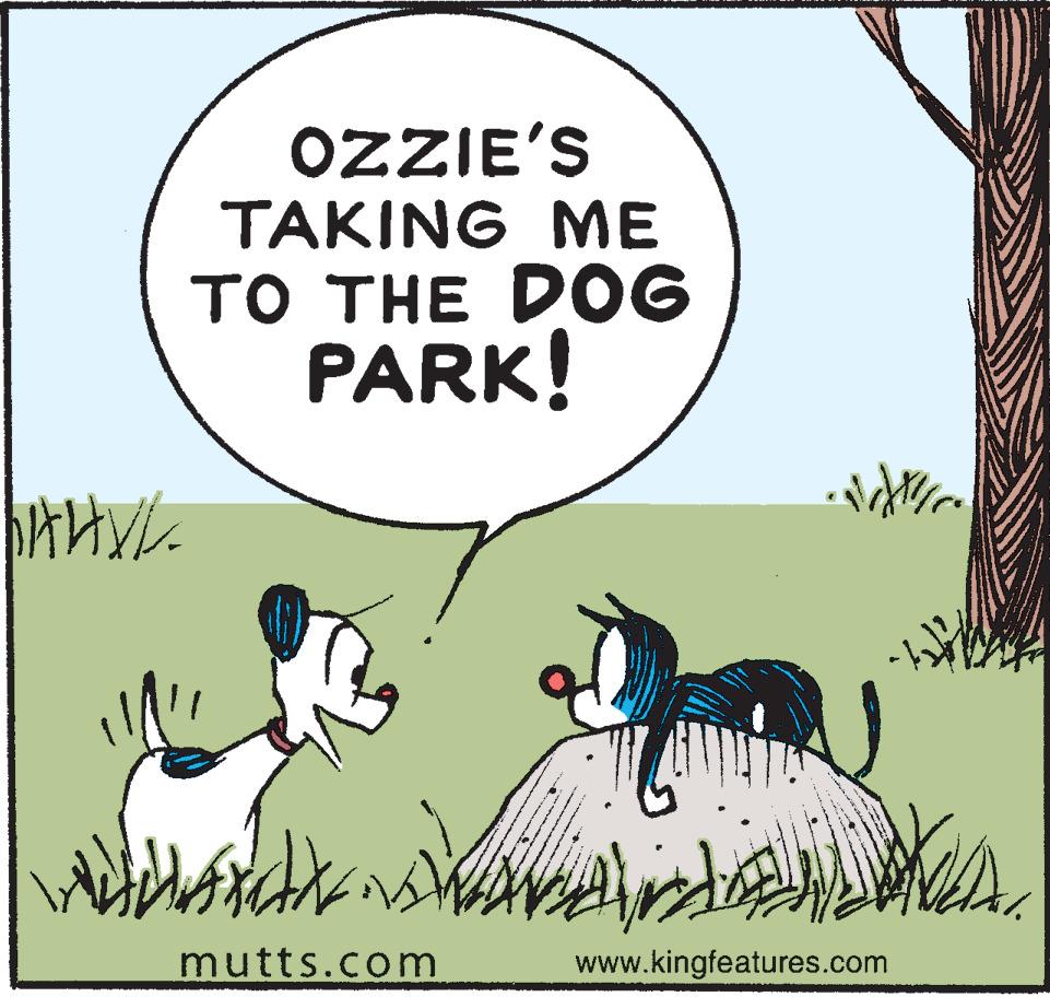 Grass OCR: OZZIE'S TAKING ME TO THE DOG PARK! mutts.com www.kingfeatures.com OZZIE'S TAKING ME TO THE DOG PARK! mutts.com www.kingfeatures.com