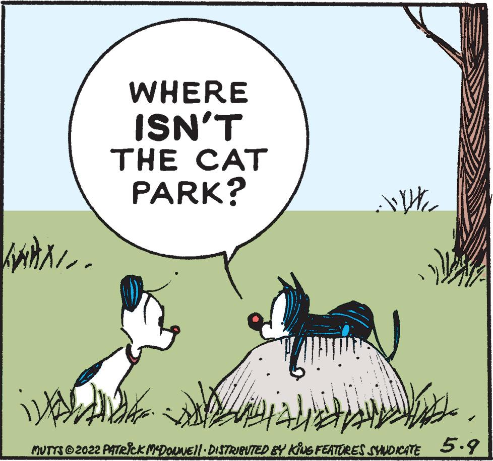Art OCR: WHERE ISN'T THE CAT PARK? MUTTSO2022 PATRICK MDouNEll DISTRIBUTED BY KING FEATURES SYUDICATE 5.9 WHERE ISN'T THE CAT PARK? MUTTSO2022 PATRICK MDouNEll DISTRIBUTED BY KING FEATURES SYUDICATE 5.9
