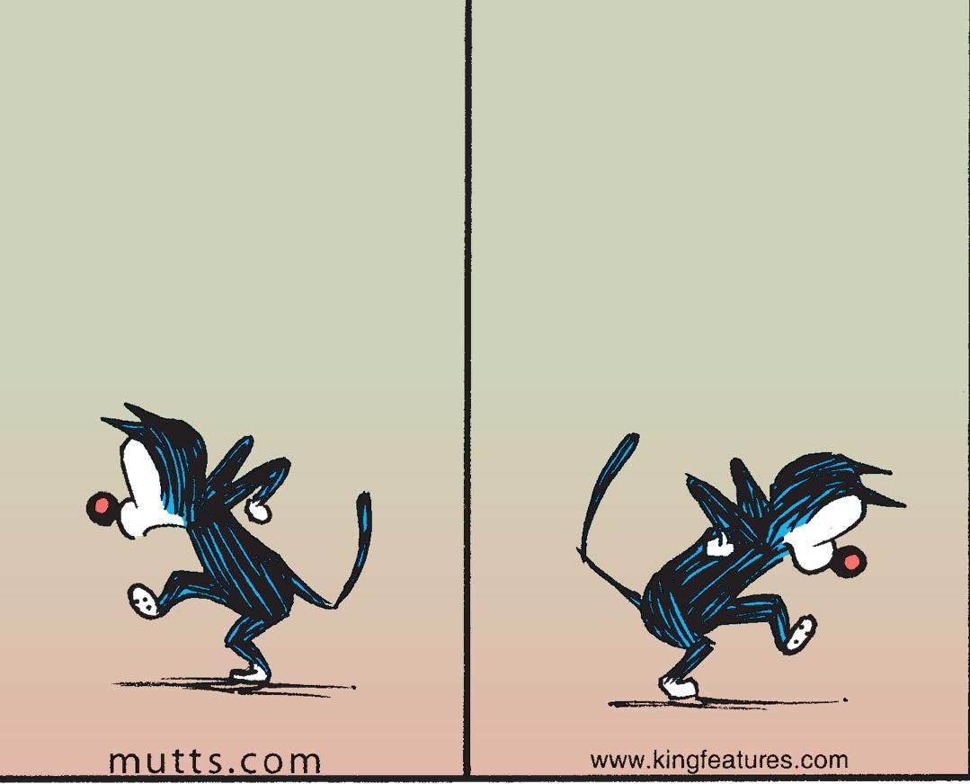 Graphics OCR: mutts.com www.kingfeatures.com mutts.com www.kingfeatures.com