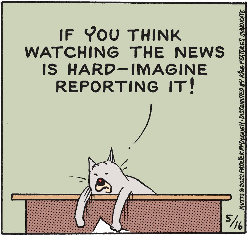 Small to medium-sized cats OCR: IF YOU THINK WATCHING THE NEWS IS HARD-IMAGINE REPORTING IT! 5/6 IF YOU THINK WATCHING THE NEWS IS HARD-IMAGINE REPORTING IT! 5/6