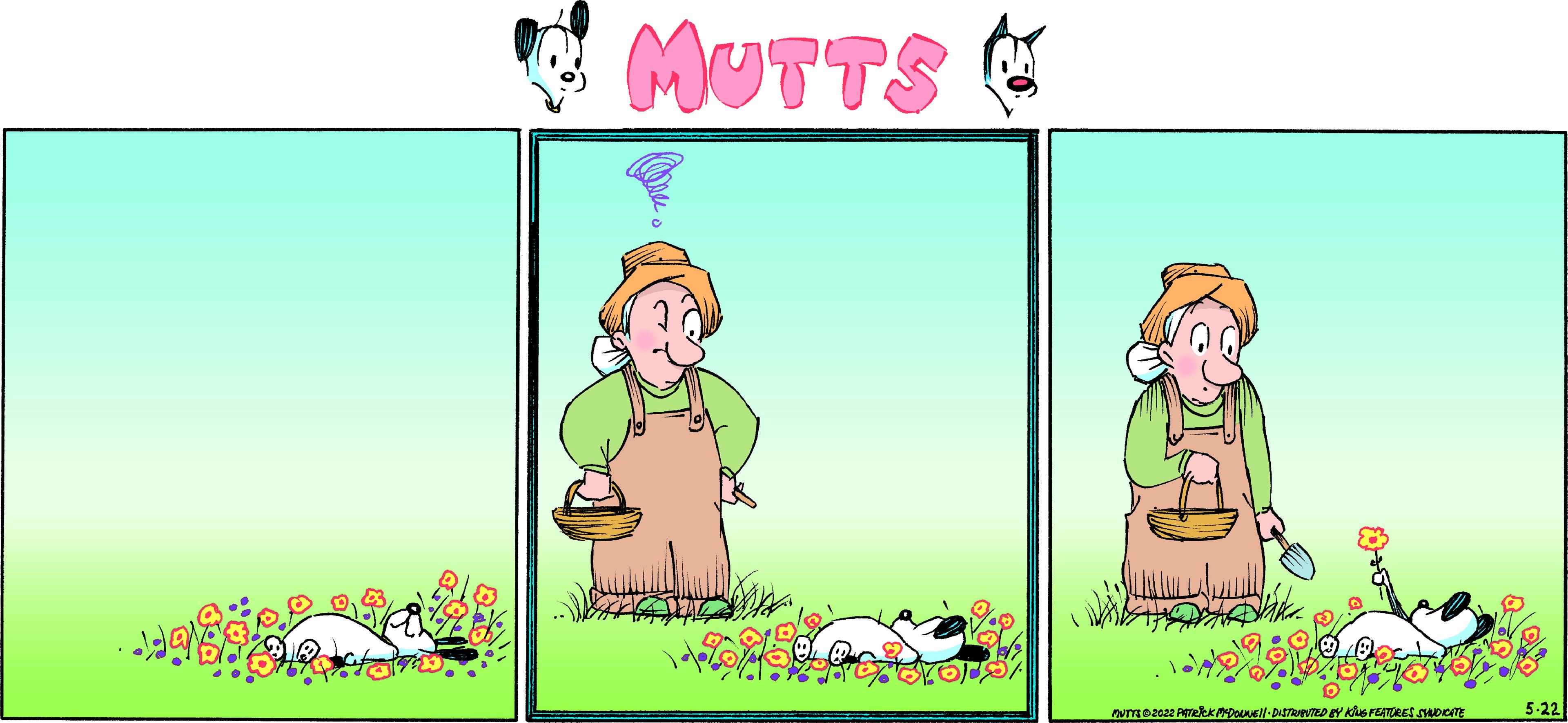 People in nature OCR: MUTTS & NUTZ © 2622 PMCK MYDOLNE!|-DISTRIENTED BY KÕUS FEATURES SYNDICATE 5-22 MUTTS & NUTZ © 2622 PMCK MYDOLNE ! | -DISTRIENTED BY KÕUS FEATURES SYNDICATE 5-22