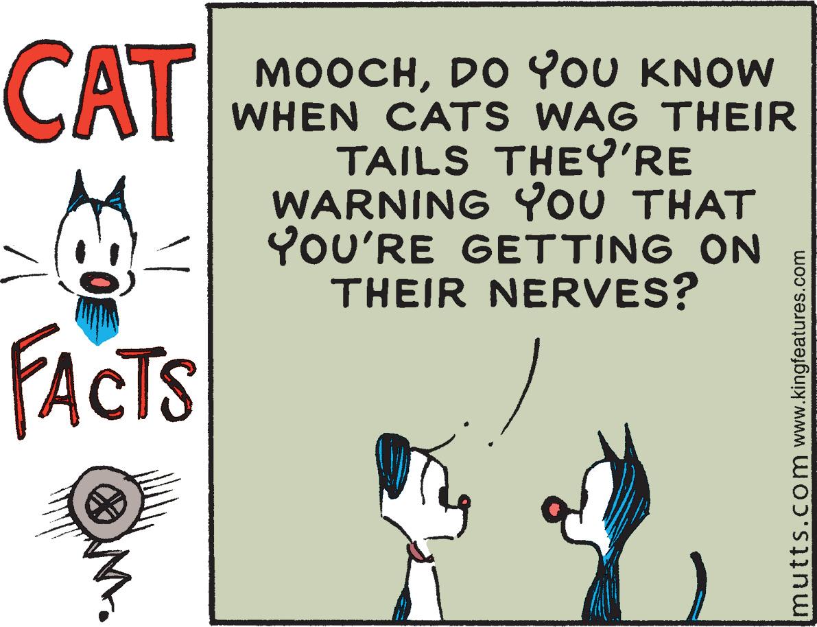 Gesture OCR: CAT MOOCHDO YOU KNOW WHEN CATS WAG THEIR TAILS THEY'RE WARNING YoU THAT YOU'RE GETTING ON THEIR NERVES? FACTS mutts.com www.kingfeatures.com CAT MOOCHDO YOU KNOW WHEN CATS WAG THEIR TAILS THEY'RE WARNING YoU THAT YOU'RE GETTING ON THEIR NERVES? FACTS mutts.com www.kingfeatures.com