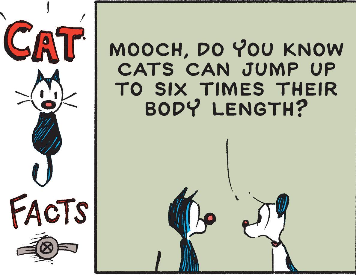 Happy OCR: CAT MOOCHDO YOU KNOW CATS CAN JUMP UP TO SIX TIMES THEIR BODY LENGTH? FACTS CAT MOOCHDO YOU KNOW CATS CAN JUMP UP TO SIX TIMES THEIR BODY LENGTH? FACTS