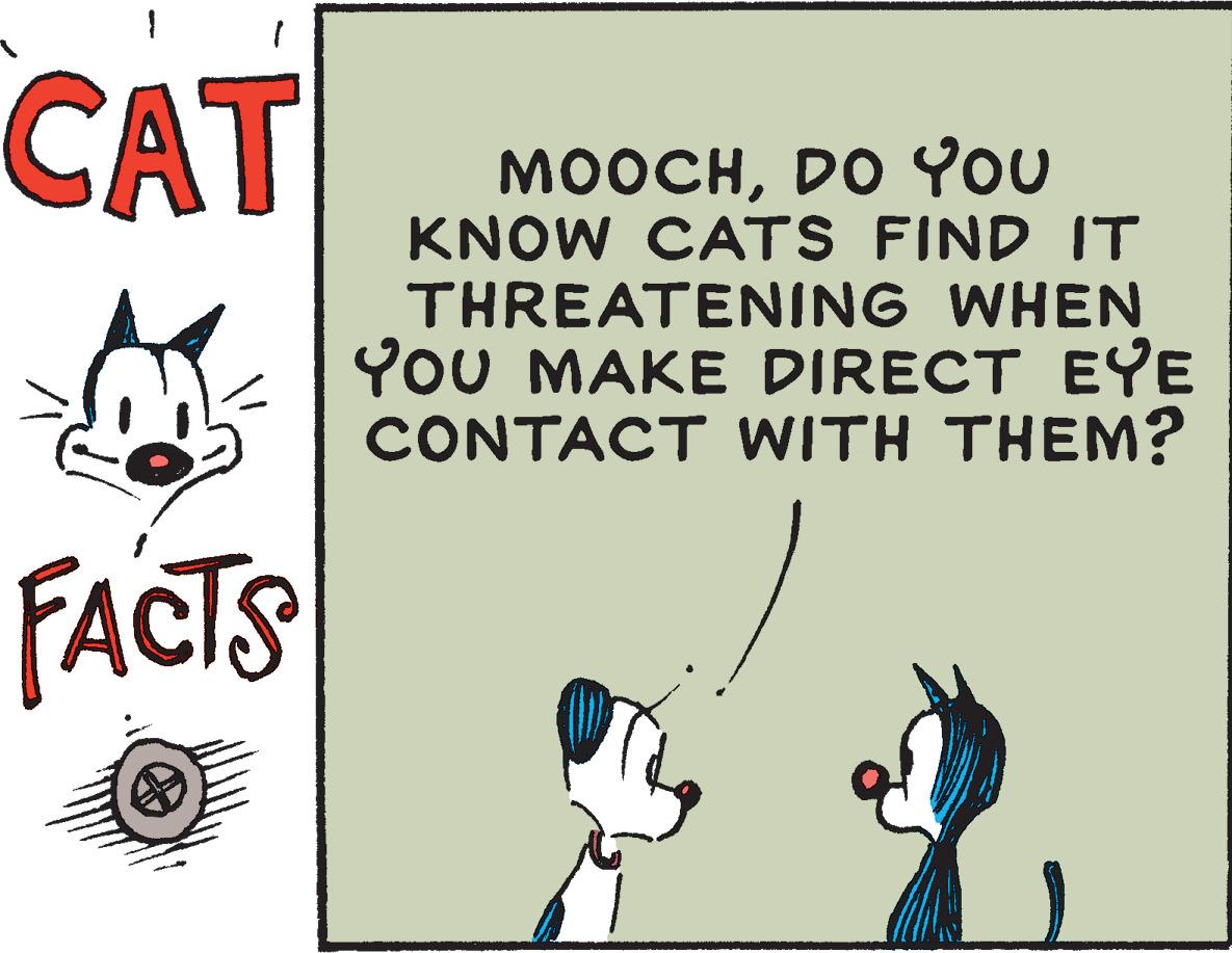 Line OCR: CAT MOOCHDO You KNOW CATS FIND IT THREATENING WHEN YoU MAKE DIRECT EYE CONTACT WITH THEM? FACTS CAT MOOCHDO You KNOW CATS FIND IT THREATENING WHEN YoU MAKE DIRECT EYE CONTACT WITH THEM? FACTS