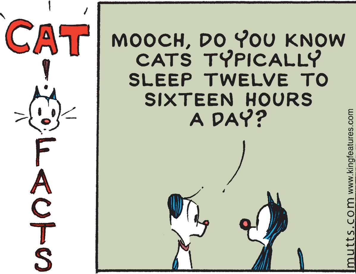 Gesture OCR: CAT MOOCHDO YOU KNOW CATS TYPICALLY SLEEP TWELVE TO SIXTEEN HOURS A DAY? EFACTS mutts.com www.kingfeatures.com CAT MOOCHDO YOU KNOW CATS TYPICALLY SLEEP TWELVE TO SIXTEEN HOURS A DAY? EFACTS mutts.com www.kingfeatures.com