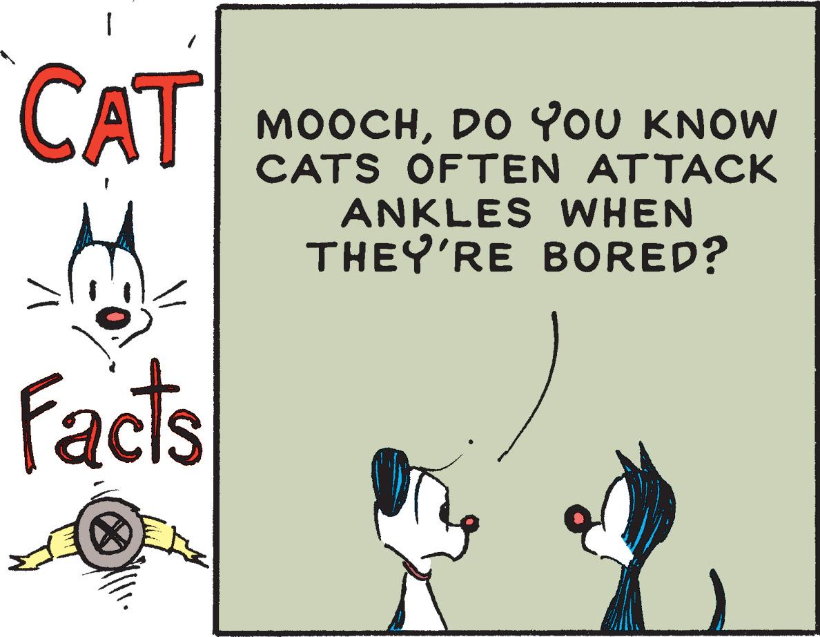 Art OCR: CAT MOOCHDO YOU KNOW CATS OFTEN ATTACK ANKLES WHEN THEY'RE BORED? Facts CAT MOOCHDO YOU KNOW CATS OFTEN ATTACK ANKLES WHEN THEY'RE BORED? Facts