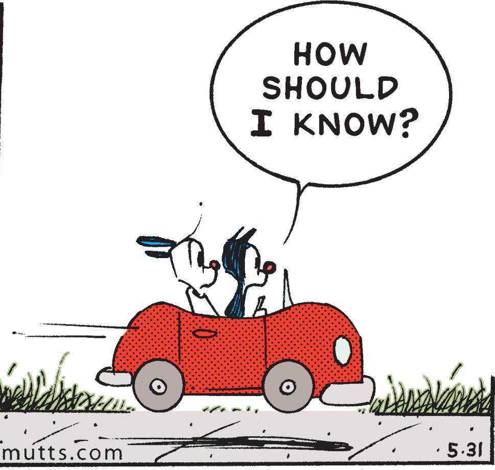 Gesture OCR: mutts.com HOW SHOULD I KNOW? · 5.31 mutts.com HOW SHOULD I KNOW ? · 5.31